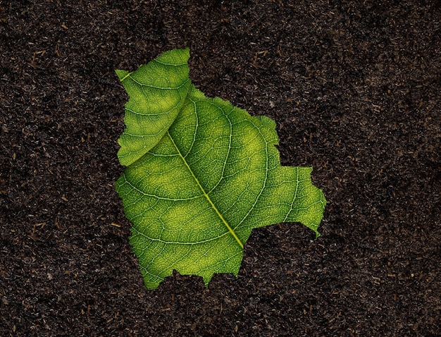 Bolivia map made of green leaves on soil background ecology concept