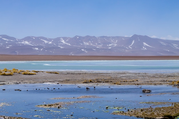 Boliviaans lagunelandschap