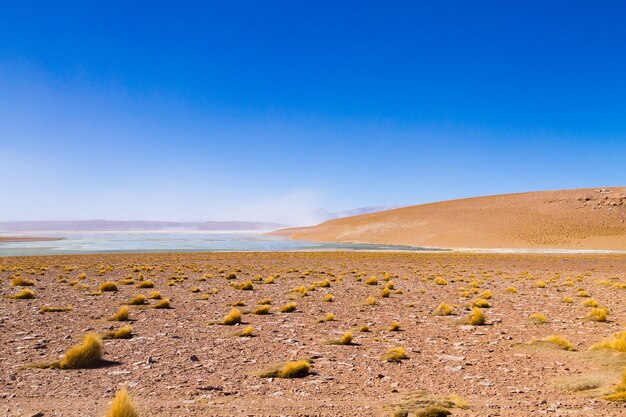 Boliviaanse plateau uitzicht