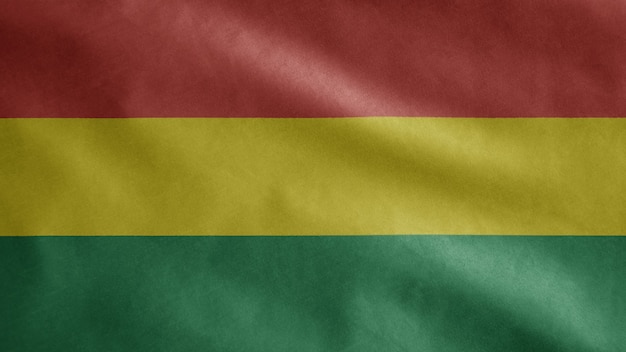 Boliviaanse vlag wappert in de wind