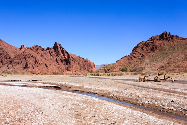 ボリビアのトゥピサ近くのボリビアの峡谷ケブラダセカ、ドゥエンデの峡谷ボリビアの風景