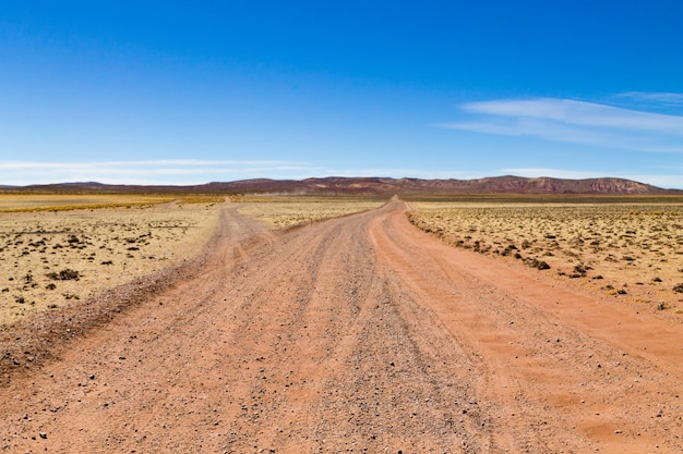 ボリビアの未舗装道路の透視図、ボリビア。アンデス高原の眺め