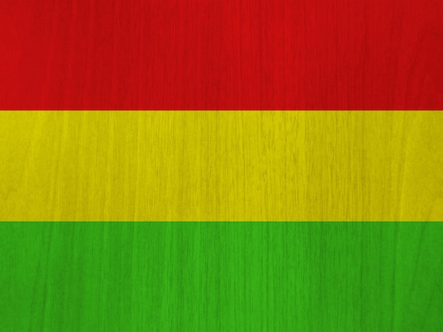 Bolivian flag