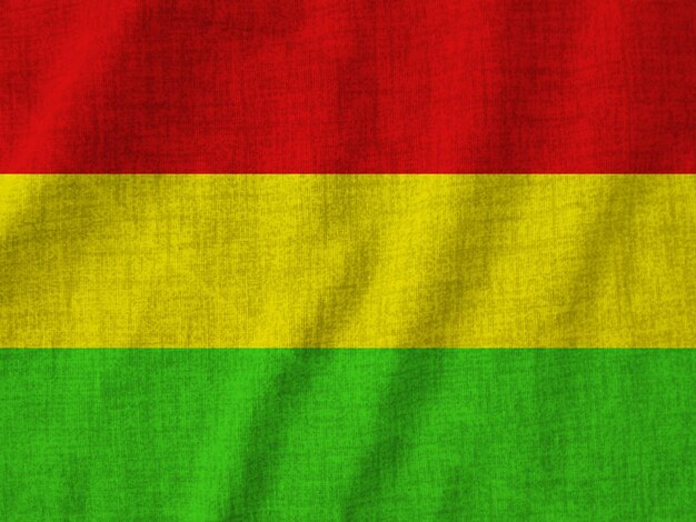 Bolivian flag