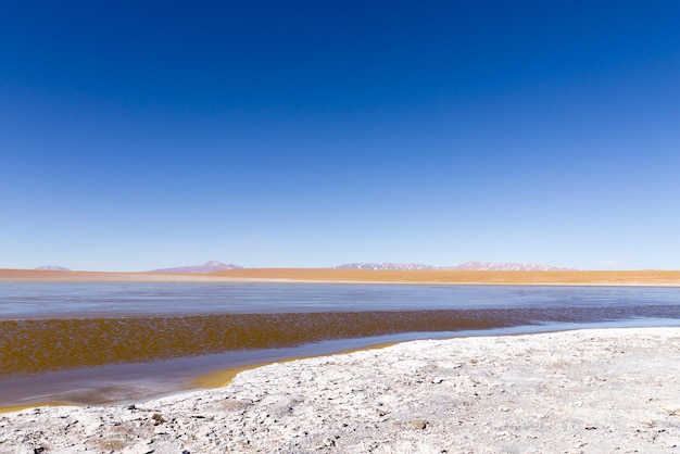 Foto vista della laguna bolivianabolivia kollpa kkota vista della laguna collpa laguna