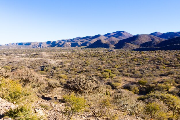 Photo bolivian mountains landscape,bolivia.road from potosi to tupiza