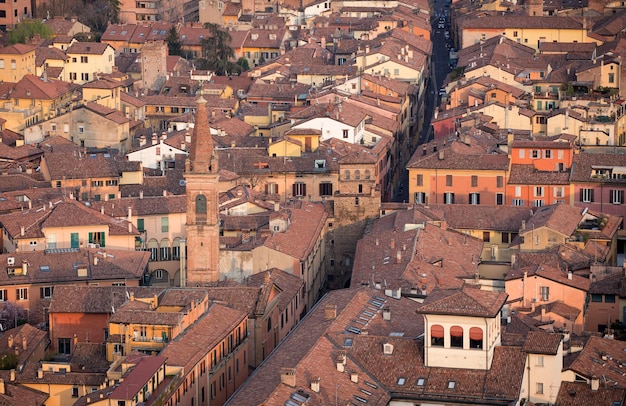 bologna