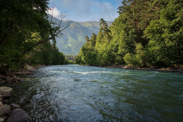 Bolshoy Zelenchuk rivier in het Kaukasusgebergte op een zomerdag Arkhyz KarachayCherkessia Rusland