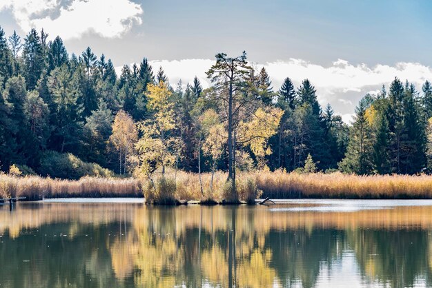 Foto bomen bij het meer tegen de lucht