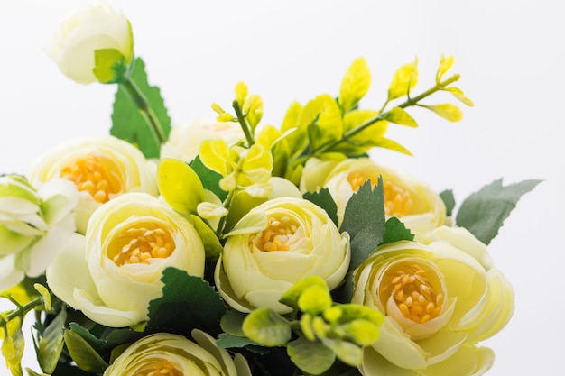 Bomen, bloemen in potten op witte achtergrond