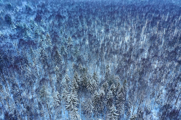 bomen bos vorst bovenaanzicht achtergrond, abstract drone uitzicht natuur seizoensgebonden winter spar