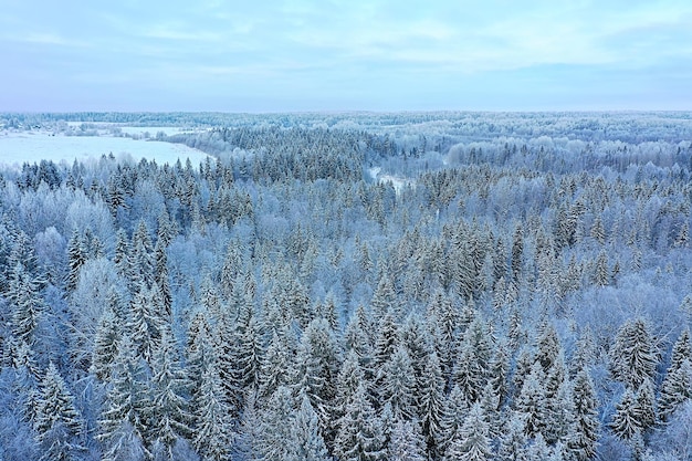 bomen bos vorst bovenaanzicht achtergrond, abstract drone uitzicht natuur seizoensgebonden winter spar