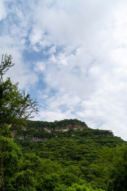 Bomen die bergen huentitan-canyon in guadalajara-bergen en bomen omlijsten, groene vegetatie en lucht met wolken mexico