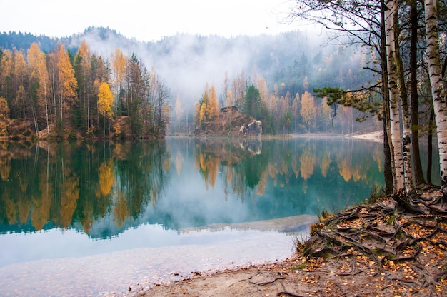 Bomen die in de herfst over een rustig meer reflecteren