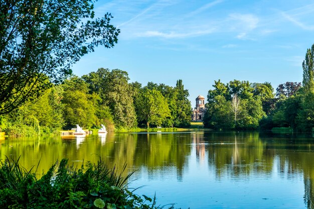 Foto bomen die zich weerspiegelen op het meer