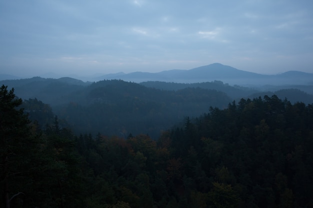 Bomen en bergketen tegen cloudscape