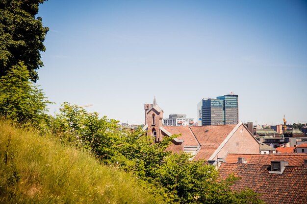 Foto bomen en gebouwen tegen de lucht