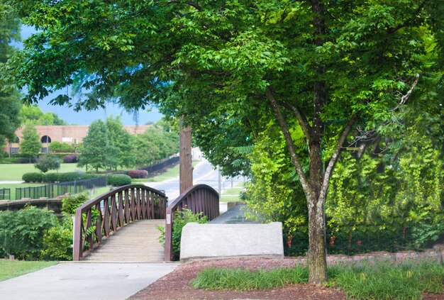 Foto bomen en planten te midden van een voetgangersbrug in het park