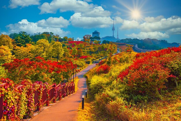 Foto bomen en planten tegen de hemel in de herfst