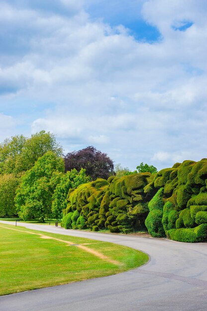 Bomen en struiken in Audley End House in Essex in Engeland. Het is een middeleeuws landhuis. Nu staat het onder bescherming van het Engelse erfgoed.