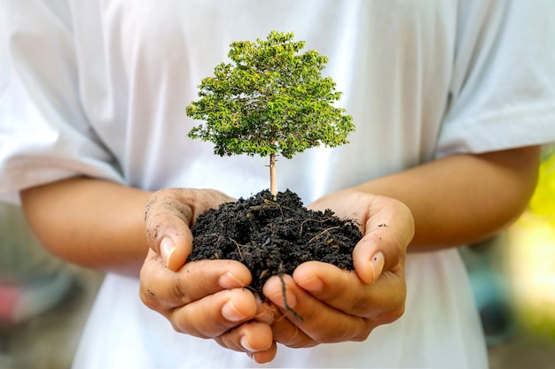 Bomen groeien in de grond op mensenhanden, earth day-concept en campagne voor de opwarming van de aarde.