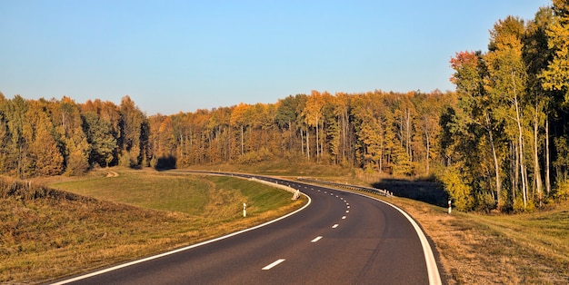 Bomen groeien in het herfstseizoen