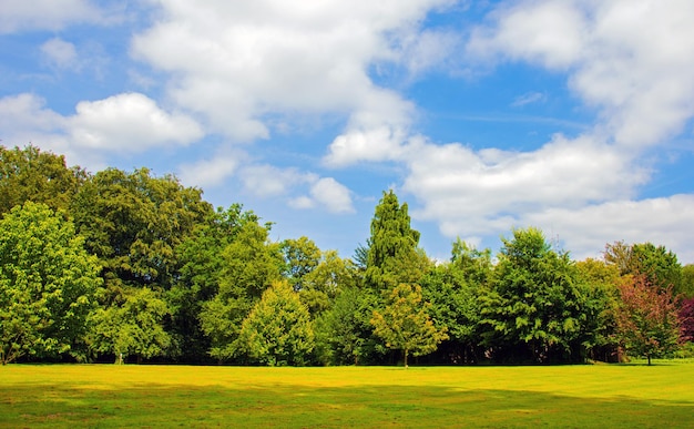 Bomen groeien op het grasveld tegen de lucht.