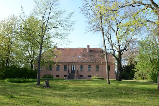 Foto bomen groeien op het veld door te bouwen tegen de lucht