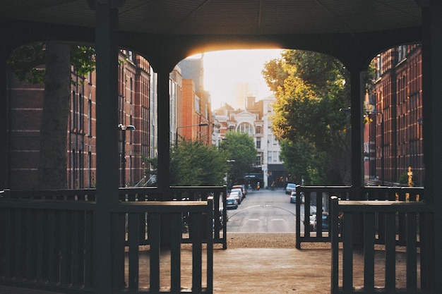 Foto bomen in de stad