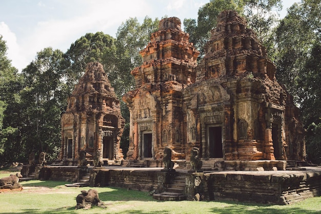 Foto bomen in een tempel