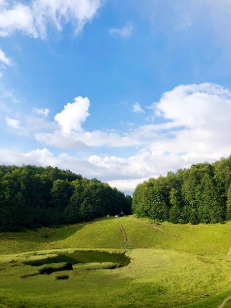 Bomen in het landschap tegen de lucht