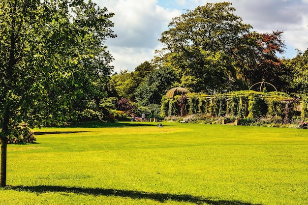 Foto bomen in het park tegen de lucht