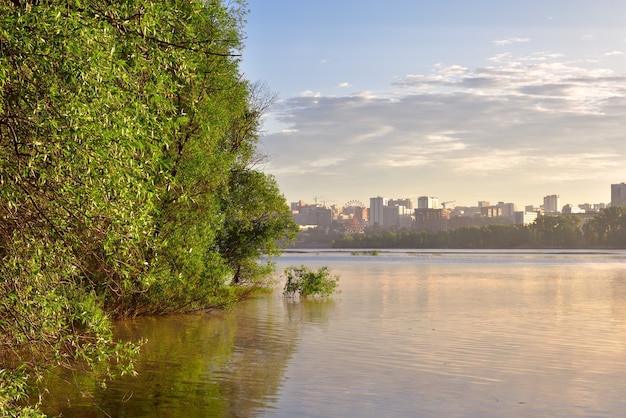 bomen in het water tijdens hoog water op de grote siberische rivier stedelijke ontwikkeling aan de horizon