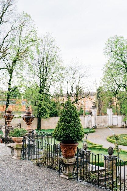 Bomen in kommen op een stenen voetstuk in de buurt van Villa Trivulzio Italië Comomeer