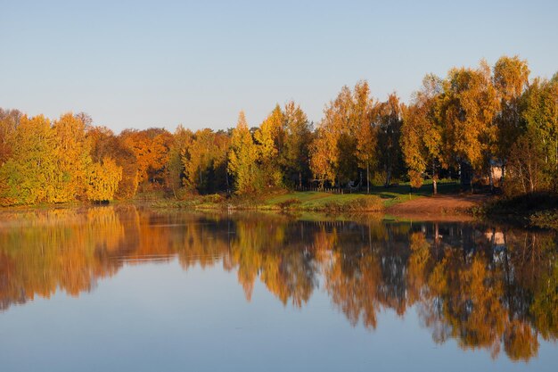 Bomen in schitterende herfstkleur die reflecteren in een klein meertje in Letland