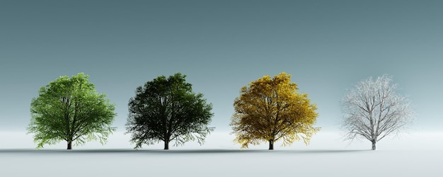 Bomen in vier seizoenen van het jaar lente zomer herfst en winter