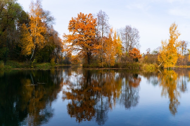 Bomen met gouden bladeren die reflecteren in het water van het meer