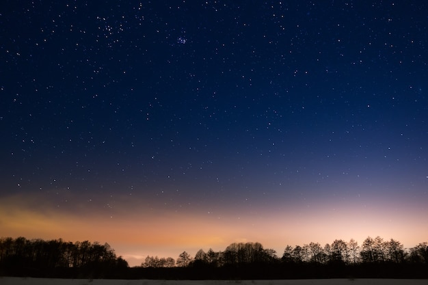 Bomen op een achtergrond van de nachtelijke sterrenhemel