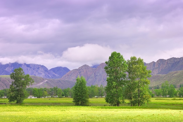 Bomen op een groene weide tegen de achtergrond van rotsachtige bergen onder een bewolkte hemel Siberië