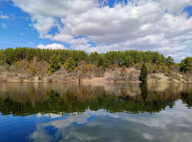 Foto bomen op een helling bij een vijver worden weerspiegeld in het water tegen een blauwe hemel met wolken op een zonnige dag