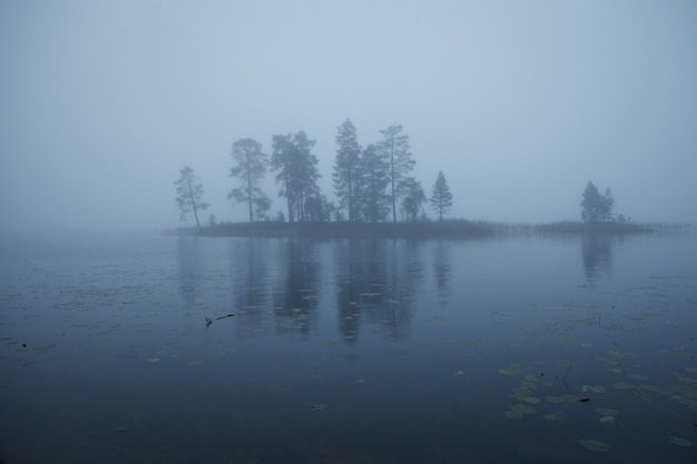 Bomen op een spookeiland in de mist