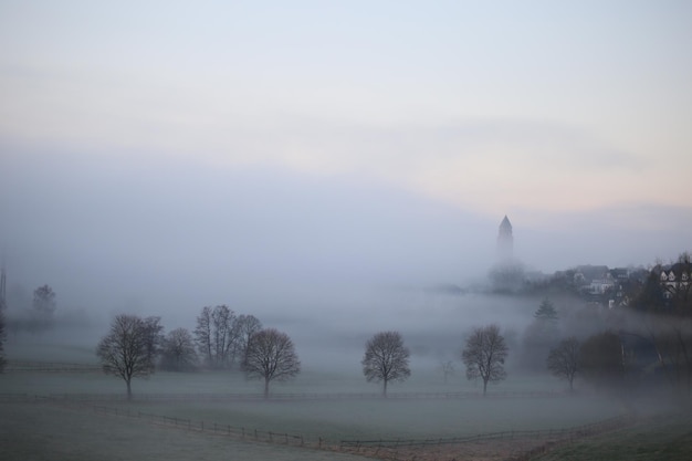 Bomen op het veld tegen de lucht tijdens mistig weer