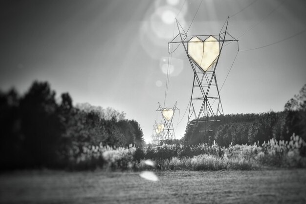 Foto bomen op het veld tegen de lucht