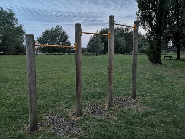 Foto bomen op het veld tegen de lucht