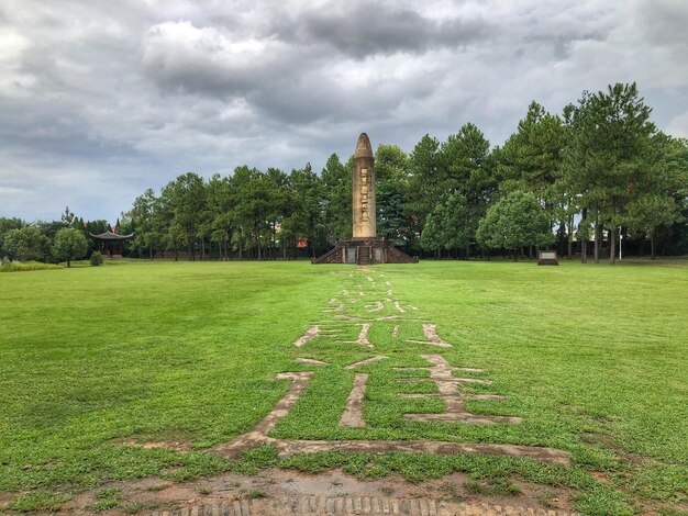 Bomen op het veld tegen een bewolkte hemel