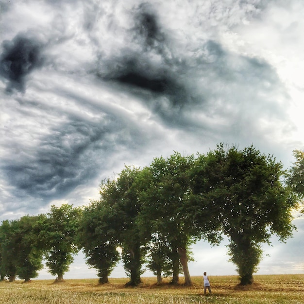 Foto bomen op het veld tegen een bewolkte hemel