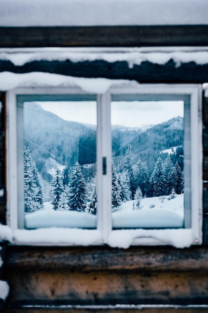 Foto bomen op sneeuw bedekt land tegen de lucht gezien door het raam