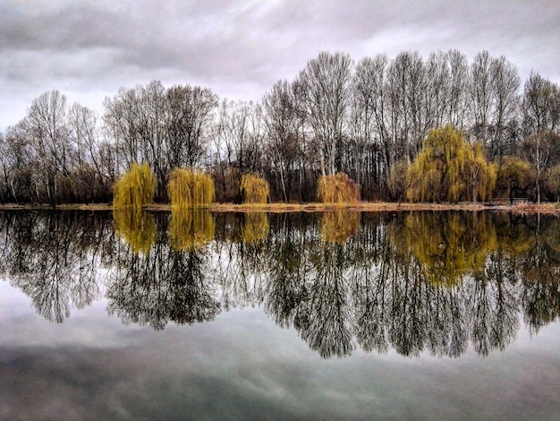 Bomen reflecteren op een rustig meer