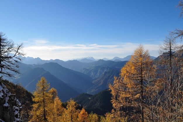 Bomen tegenover majestueuze bergen