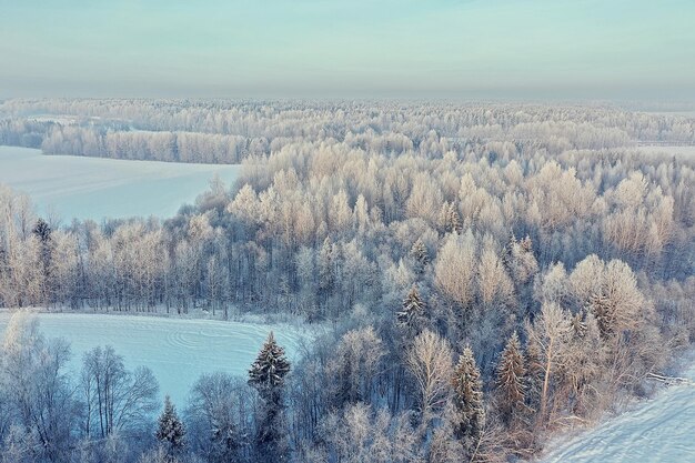 bomen vorst drone, abstracte weergave achtergrond december landschap buiten bomen sneeuw